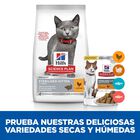 Hill’s Science Plan Sterilised Kitten Pollo pienso para gatos, , large image number null